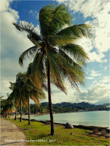 palms-port-antonio-jamaica-photo-g-paz-y-mino-c-2017
