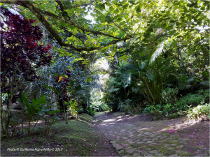 path-at-castleton-botanic-gardens-photo-g-paz-y-minoc-2017